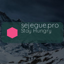 sejegue.pro